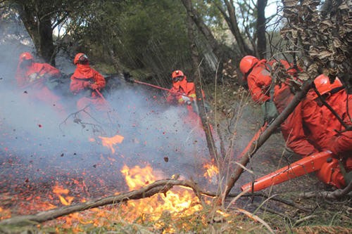 NASA发布的亚马逊火灾，历史上最严重的五起森林火灾是哪些？