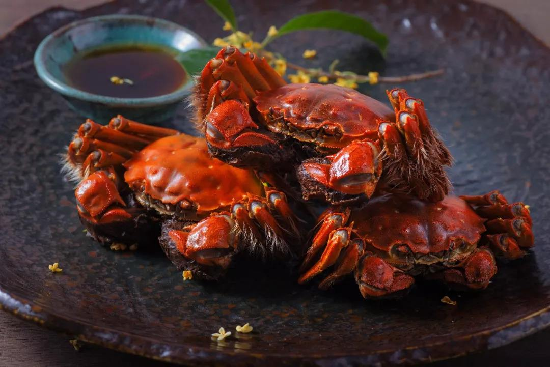 哪个品牌的大闸蟹好一些？