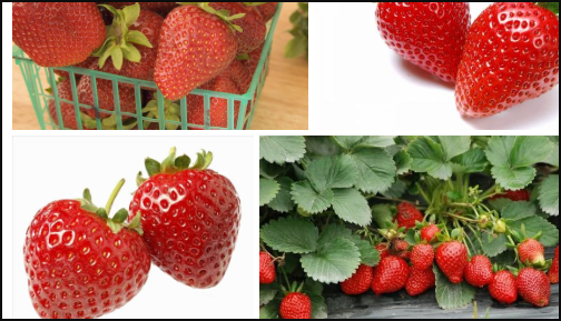 吃什么食物可以提神？