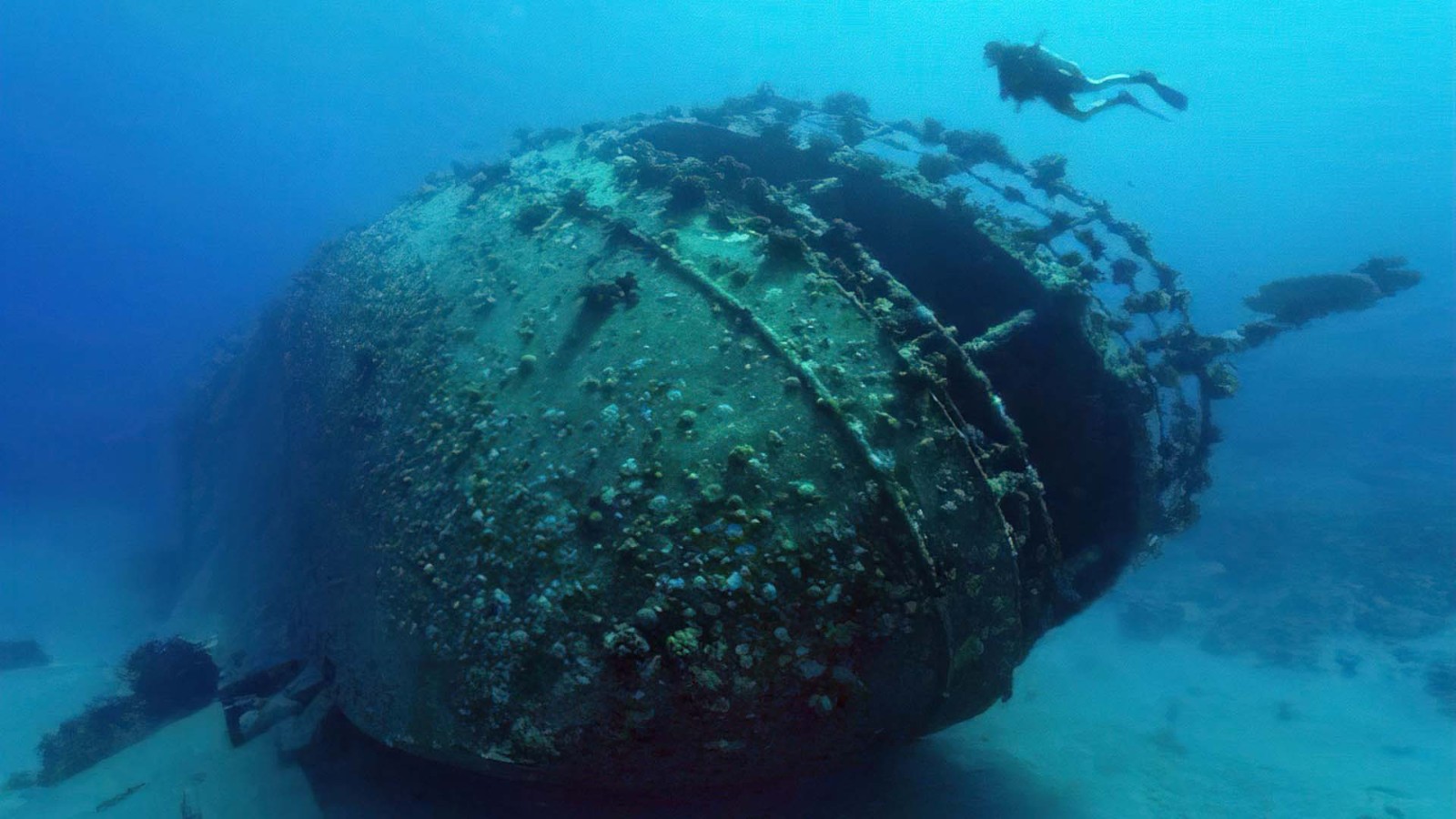 人类还在不断探索海底世界的奥秘,你还想知道海底的哪些秘密?