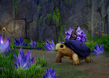 剑三宠物怎么抓