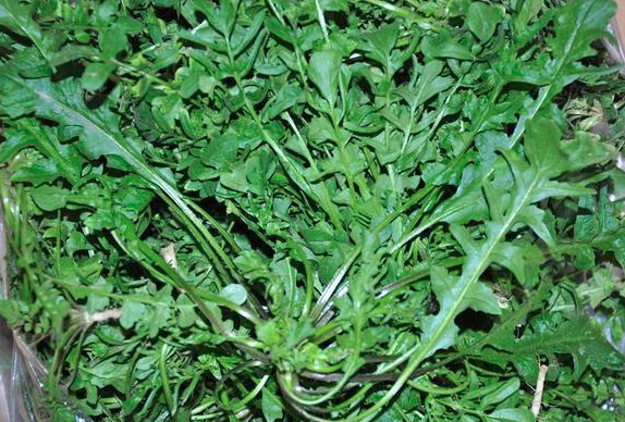 常见山野菜都有那些