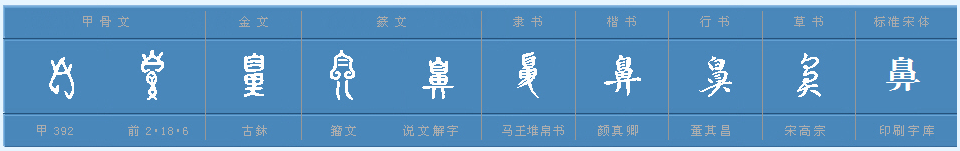 鼻字的部首是什么?