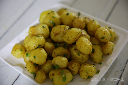 定西师范高等专科学校代码是多少?