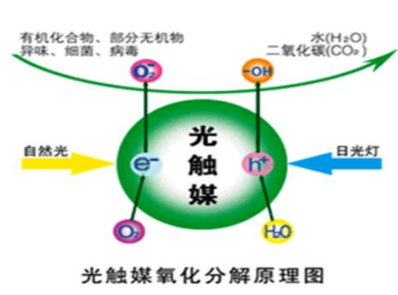 新车怎么去除异味