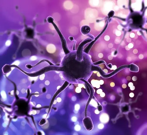 新冠病毒最早在什么时候发现?应该怎么治疗?