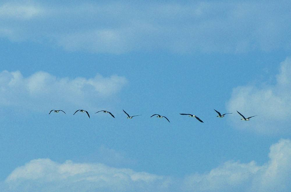 已经退伍的天空1号,为什么要让它回归地球?