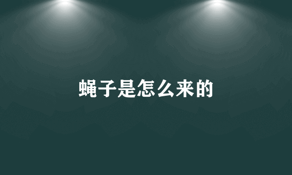 蝇子是怎么来的
