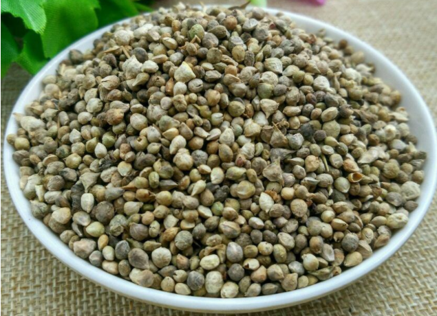 菠菜籽有什么用处?