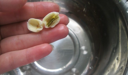 莲蓉馅的制作方法是什么?