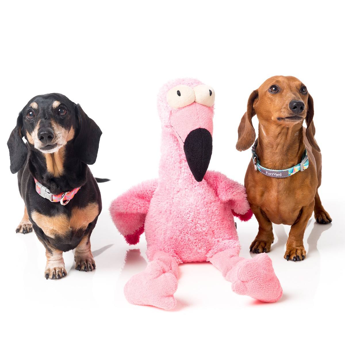 宠物用品有哪些？