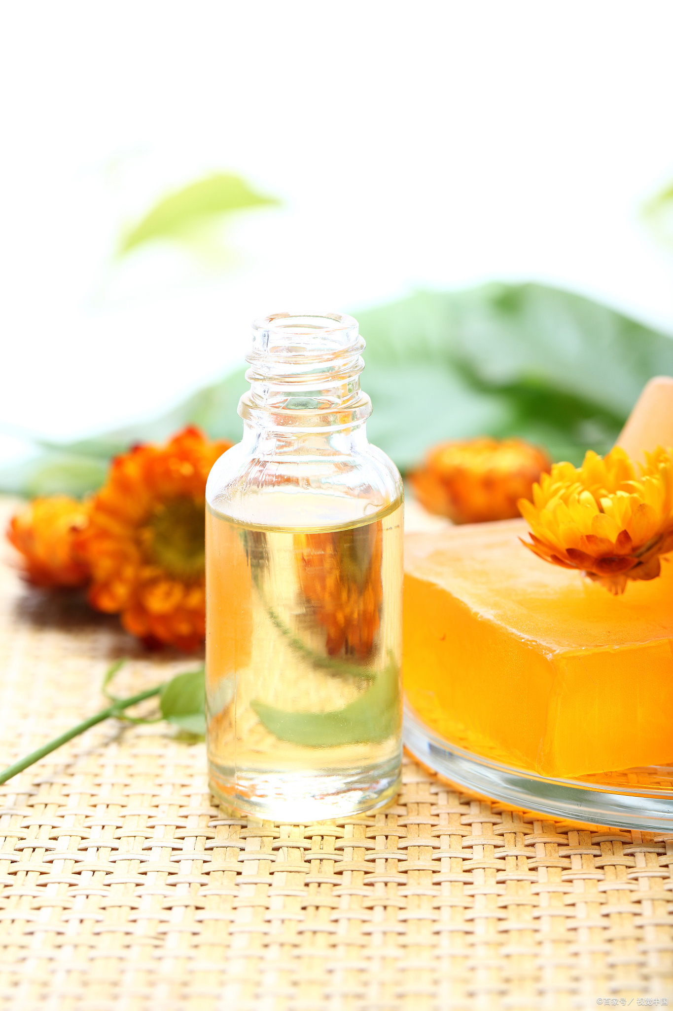 当归精油的功效与作用是什么?怎么保存当归精油?