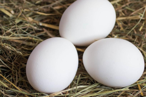 鸡蛋不能和什么一起吃?