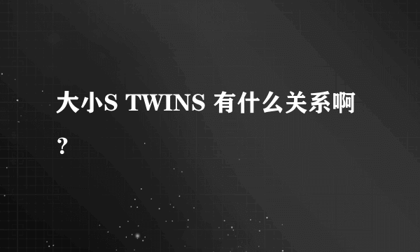 大小S TWINS 有什么关系啊？