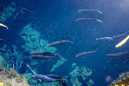 海平面上升会带来哪些严重的后果?