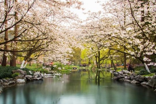 西湖一日游应该怎么安排?