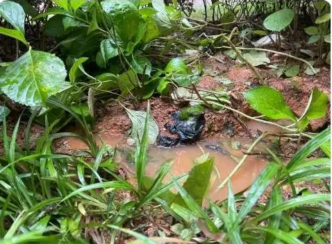 郴州一儿童17楼坠落生还,物业:孩子自述被人推下,目前此事有何线索?