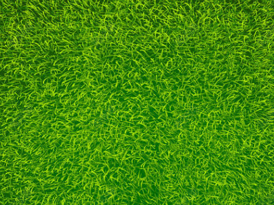 关于绿色环保的内容