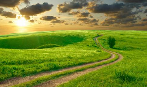 弯弯的小路像什么怎么填？