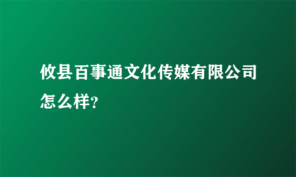 攸县百事通文化传媒有限公司怎么样？