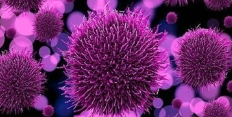 单核细胞比率偏低是怎么回事？