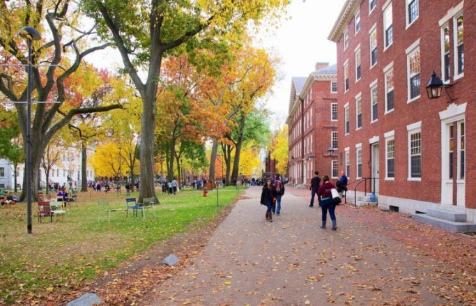 为什么要读大学