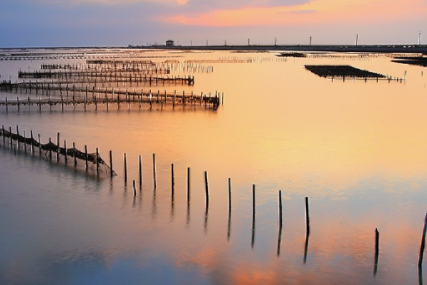 什么是潟湖?求简单归类一下