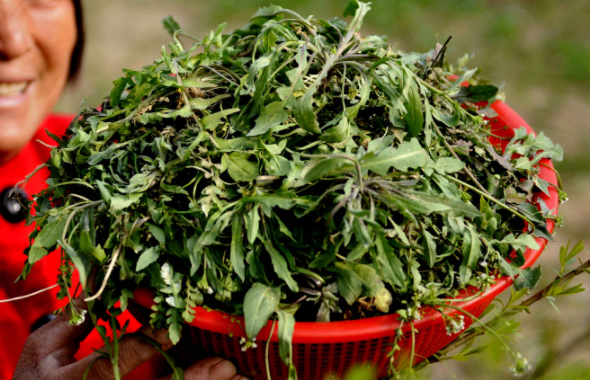 春分习俗有那些?