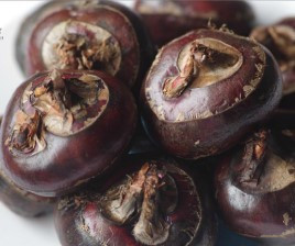 马蹄的功效与作用禁忌是什么?