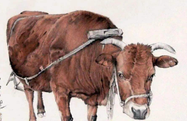 书戴嵩画牛意思简短到20字是什么?