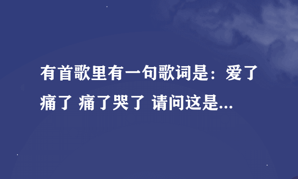 有首歌里有一句歌词是：爱了痛了 痛了哭了 请问这是那首歌啊？