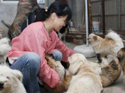 重庆市有流浪狗救助站吗?