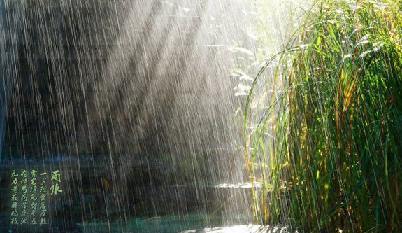 《觅春》在文中的意思是