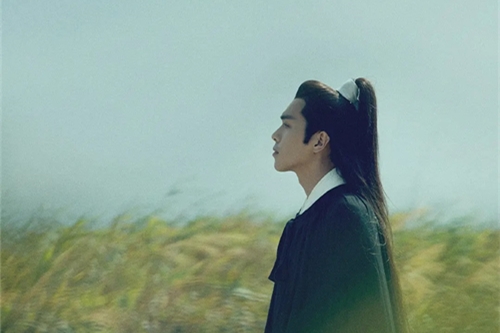 《雪中悍刀行》中,实力最强的高手有谁?