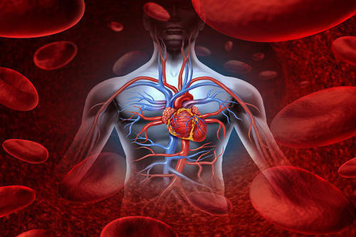 日本漫画家三浦健太郎因急性主动脉解离去世,这种病是否可以预防?