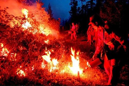 NASA发布的亚马逊火灾，历史上最严重的五起森林火灾是哪些？