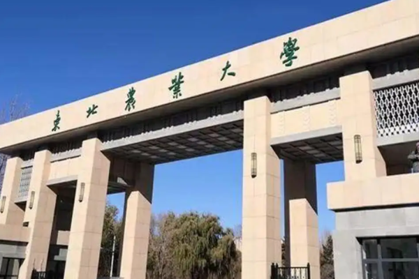 东北农业大学分数线