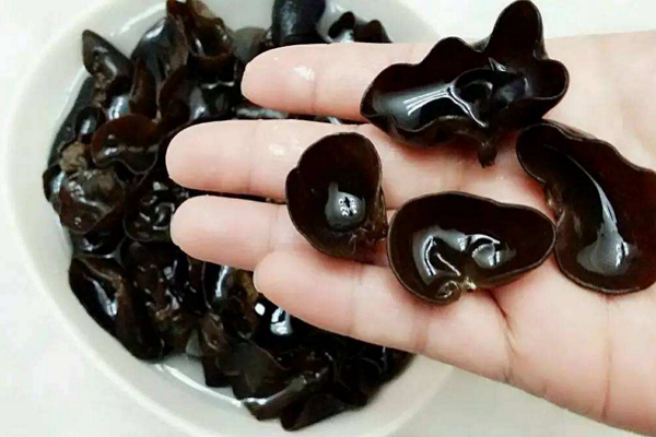 黑木耳粉具体应该怎么制作做？
