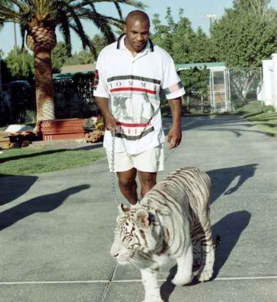 一代拳王泰森现状如何?