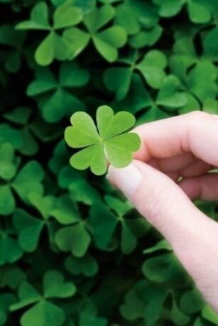 媒体报道,尼泊尔街头烧新冠患者遗体,我们生在中国有多幸运?