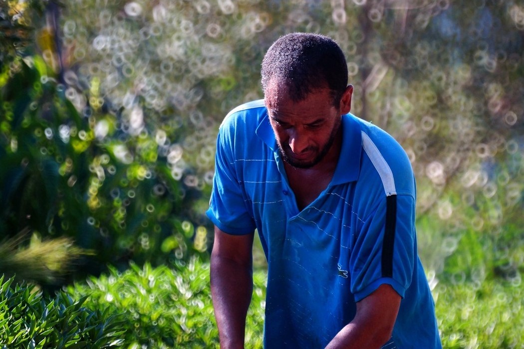 肯尼亚机场清洁工“扒飞机”偷渡到英国却不幸坠亡,这背后有什么心酸故事?