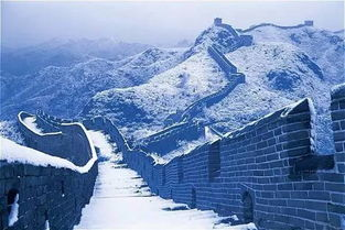 袁隆平超级杂交水稻移栽冲世界纪录,你还知道哪些世界纪录?