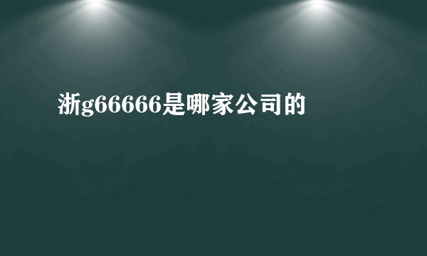 浙g66666是哪家公司的