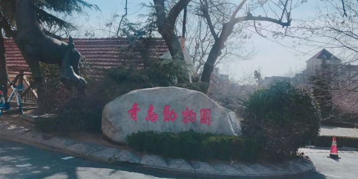 青岛十大必去景点