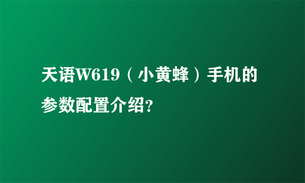 天语W619（小黄蜂）手机的参数配置介绍？