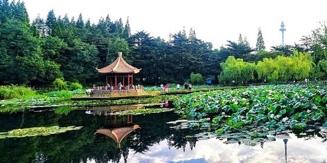 青岛十大必去景点