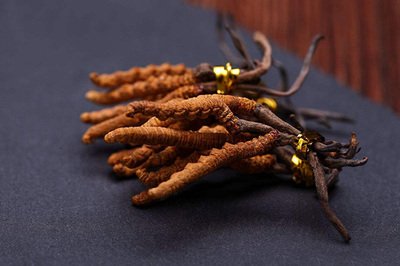 冬虫夏草泡酒有什么功效