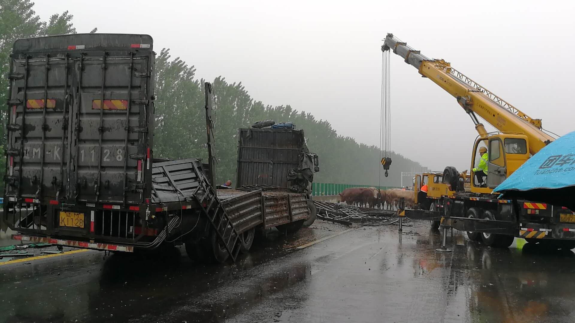 在杭金衢高速上黄牛跳车致劳斯莱斯撞车损失30万，谁该为此事故担责？