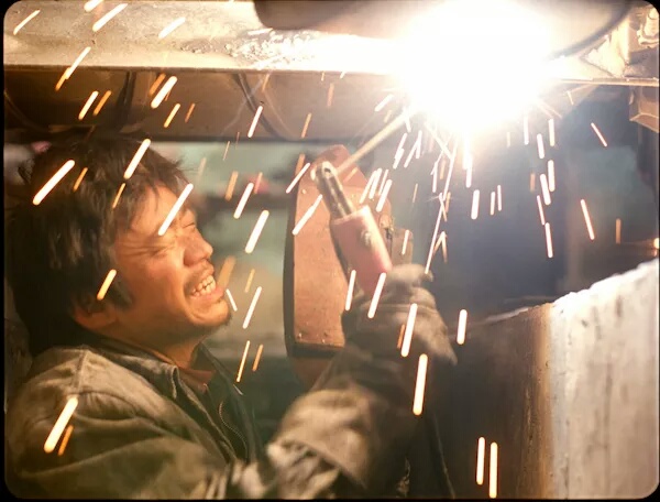 电影“树先生”演的到底是什么意思啊?