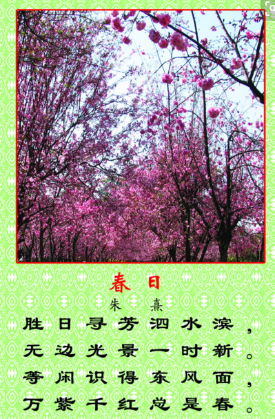 “等闲识得东风面”下一句诗是什么